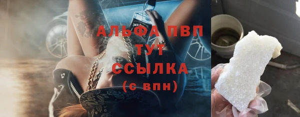 амф Аркадак