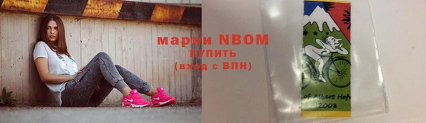 амф Аркадак
