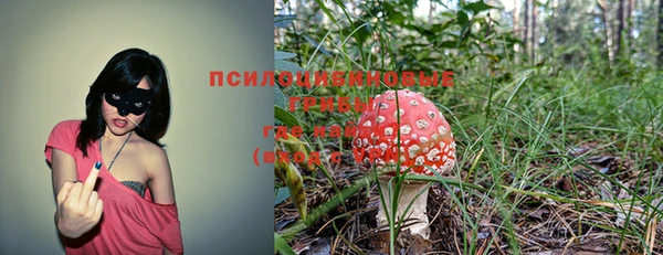 прущая мука Арсеньев