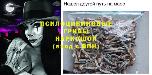 прущая мука Няндома