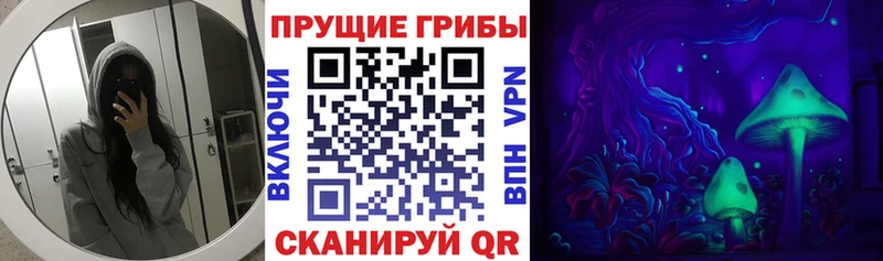 Псилоцибиновые грибы GOLDEN TEACHER  Ряжск 